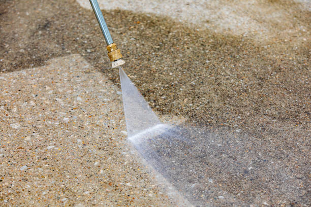 Best Soft Washing for Delicate Surfaces in Abbotsford, WI